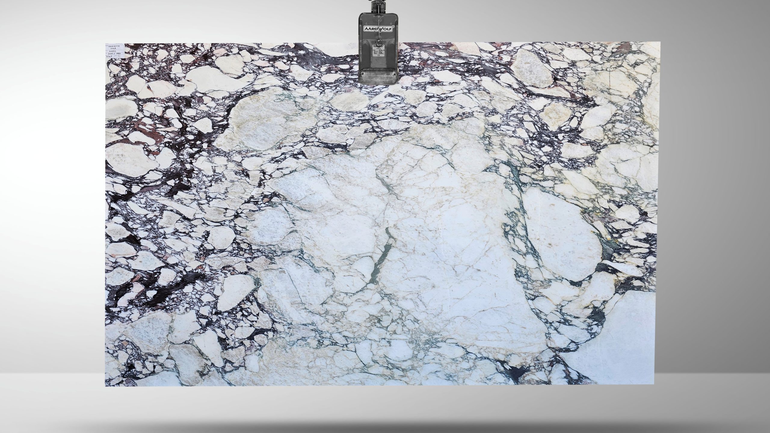 Worldstone Calacatta Viola Batch#14067 Slab #41